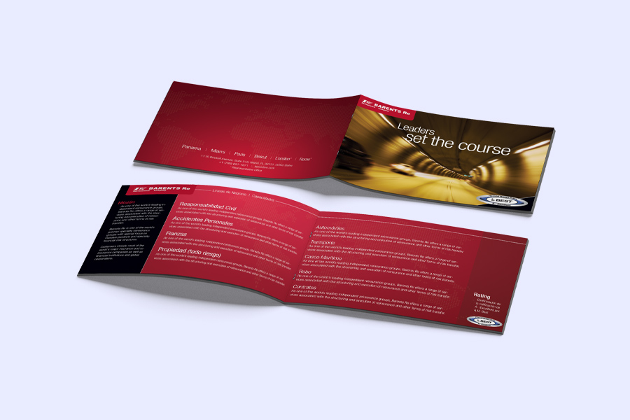 Brochure Design - Insurance Company